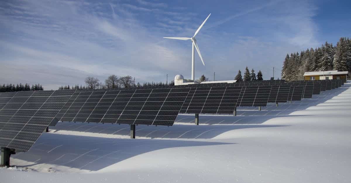 découvrez l'importance de la durabilité et son impact sur notre planète. apprenez comment adopter des pratiques respectueuses de l'environnement pour préserver les ressources naturelles et assurer un avenir meilleur pour les générations futures.