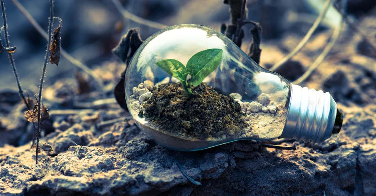 scopri l'importanza della sostenibilità nel nostro mondo moderno. esplora soluzioni innovative per un futuro ecologico, pratiche responsabili e scelte sostenibili che preservano il nostro pianeta per le generazioni future.